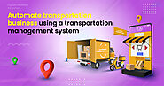 How much does it cost to automate transportation business using a transportation management system?