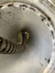 Why Should You Hire Professional Drain Cleaning Services in West Palm Beach?