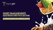 Fleet Management Software for FMCG Industry.pdf
