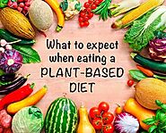 Plant-Based Diet: A Detailed Beginner's Guide