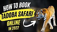 How to book Tadoba Tiger Safari Online 2022 | Ultimate guide Tadoba Safari Booking | Jungle Safari