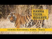 Kanha Tiger Safari | Kanha Tiger Reserve | Safari & Park Information