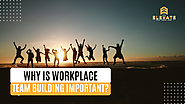 Why is Workplace Team Building Important? – Team Elevate