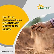 How IoT in Agriculture Helps Monitor and Maintain Soil Health