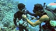 Guided Snorkeling Tours