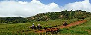 Maui Horseback Riding Tours - 40% Off Horseback Tours on Maui