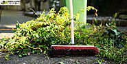 Expert Garden Clearance and Waste Collection in London
