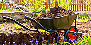 Garden Clearance: Types of Garden Waste