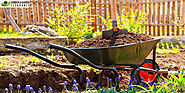 4 Ways to Get Rid of Large Garden Clearance