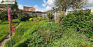 Overgrown Garden Clearance in London That Brings Your Garden to Its Glory