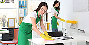 House Clearance: Best Cleaning Tips to Make Your House Look Clean