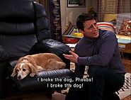 I broke the dog, Pheebs! I broke the dog!