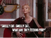 Smelly cat, smelly cat, What are they feeding you?