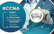 CCNA Course in Delhi