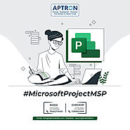 MSP MS Project Training In Delhi