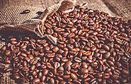 green coffee beans suppliers in india