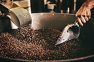 Green Coffee Beans Suppliers In India