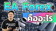 EA Forex คืออะไร ? ดีหรือไม่ - การเงินวันละคำ EP. 32