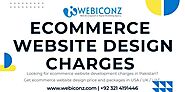 eCommerce Website Development Packages, Which Types Of Packages Webiconz Technologies Agency Offers: – Webiconz Techn...