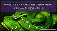 What Does a Snake Bite Dream Mean? Spiritual Interpretations