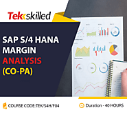 Tekskilled: Most Trusted Online SAP S/4HANA Margin Analysis Training USA, India