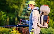 What Is The Role Of A Pest Control Technician? | by Pestcityusa Detroit | Mar, 2022 | Medium