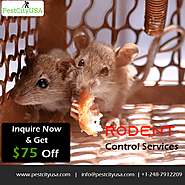 What Are Pest Control Measures Used For Rodents?: ext_5710499 — LiveJournal