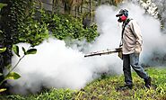 Is pest control harmful to plants? | by Pestcityusa Detroit | Nov, 2022 | Medium