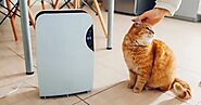 Website at https://www.reviewsgala.com/top-6-best-air-purifiers-for-pet-experts-guide-reviews-2021/