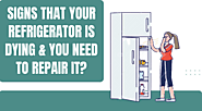 What Are The Signs That Your Refrigerator Is Dying & You Need To Repair It?