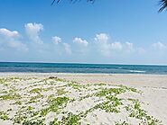 Casuarina Beach