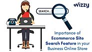 Smart Search Engine for your Online Ecommerce Store - Magento and Shopify Search Extensions