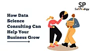 How Data Science Consulting Can Help Your Business Grow