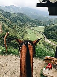 Horseback Riding