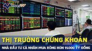 Nhà đầu tư cá nhân mua ròng hơn 11.000 tỷ đồng trong một tháng