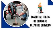 Drain Cleaning & Clog Removal Experts