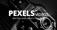 Free Videos · Pexels Videos