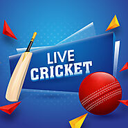 Cricket Betting Id | Online Cricket Betting Id | Play4Online