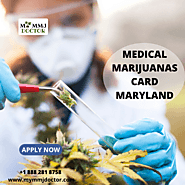Medical marijuanas card Maryland | My MMJ Doctor