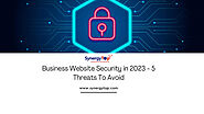 Business Website Security in 2023 – 5 Threats To Avoid | SynergyTop