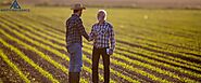 A Beginner’s Guide to Farm and Ranch Insurance in Texas| Amity Insurance Group