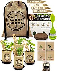 Herbal Tea Garden Kit