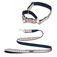 Candy Barr Martingale Dog Collar & Leash Combo – Mutt of Course