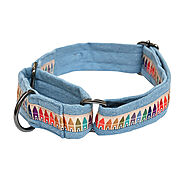 Cool School Martingale Dog Collar – Mutt of Course