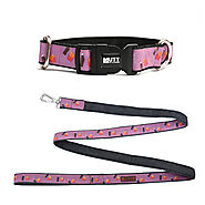 Dog Collar and Leash Combo – Cola n' Fries Print – Mutt of Course