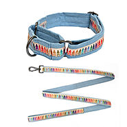 Cool School Martingale Collar + Leash Set – Mutt of Course