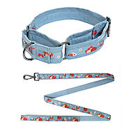 Pawesome Blossom Martingale Collar + Leash Set – Mutt of Course