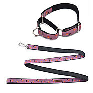 Cola N' Fries Martingale Collar + Leash Set – Mutt of Course