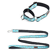 Eggs N' Bacon Martingale Collar + Leash Set – Mutt of Course