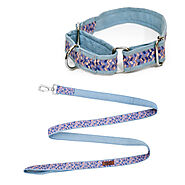 Geometrical Martingale Collar + Leash Set – Mutt of Course